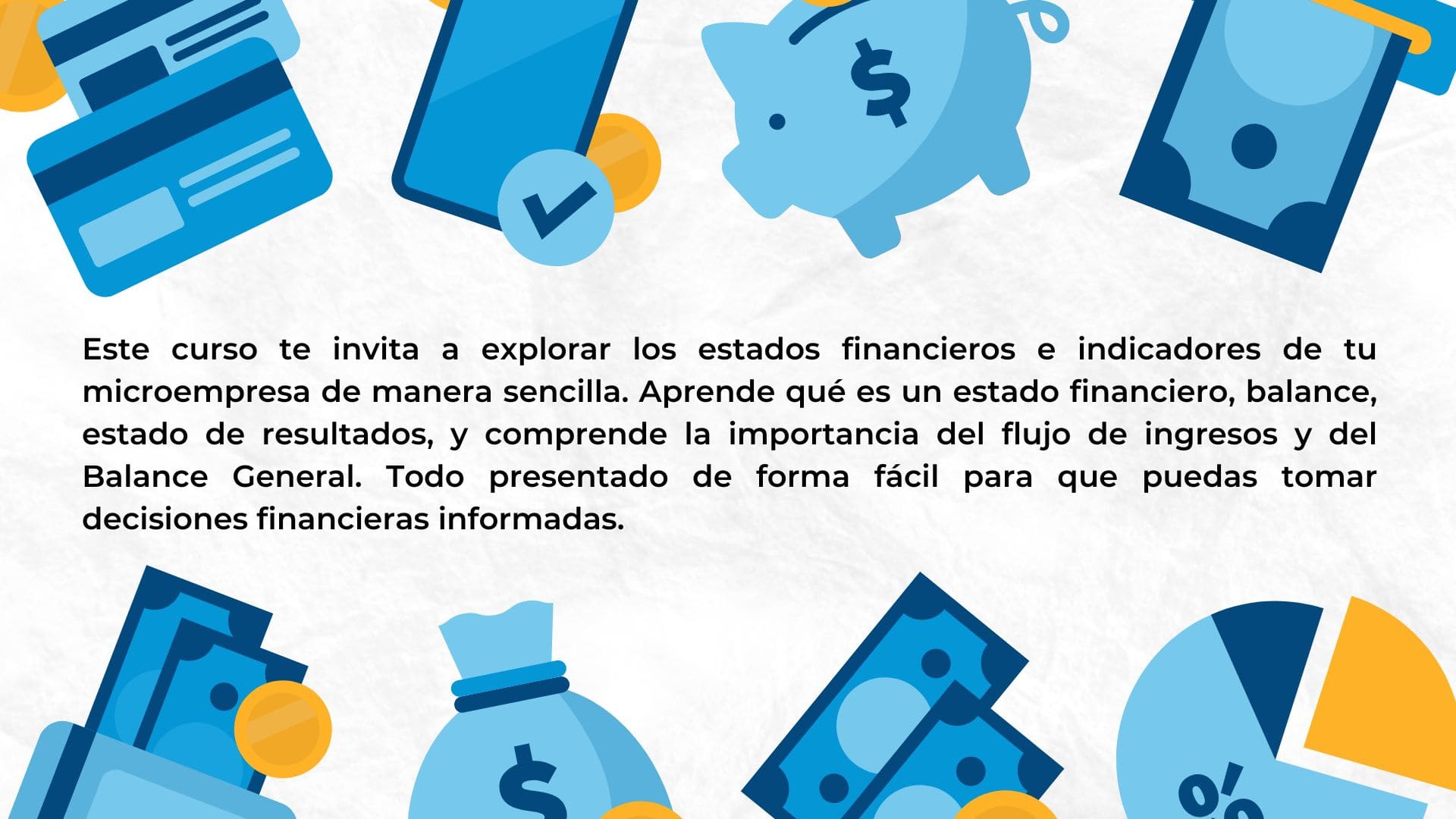 Estados Financieros E Indicadores Para Microempresas